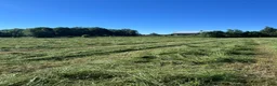  hästservice finnes: Hösilage förstaskörd 2025 - Annons 1