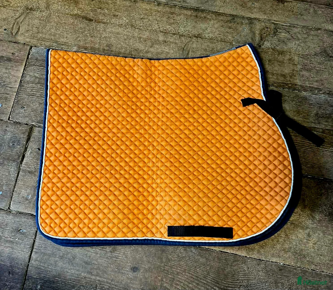 Schabrak & Vojlockar hästutrustning till salu: Välvårdade schabrak str full hopp/allround - Annons 1