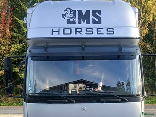 Hästlastbilar fordon & transport till salu: MB Atego 815 med Smart 2-version färdskrivare i Sala - Annons 6