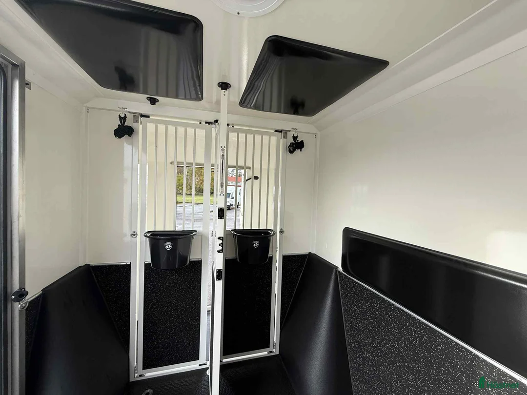 Hästlastbilar  fordon & transport till salu: PARAGAN GRAND PRESTIGE STUTERI  i Köping - Annons 12