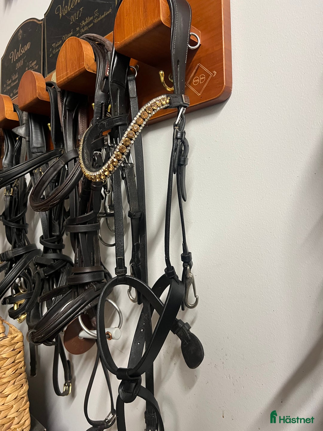 Träns hästutrustning till salu: Dyon träns i Uppsala - Annons 1