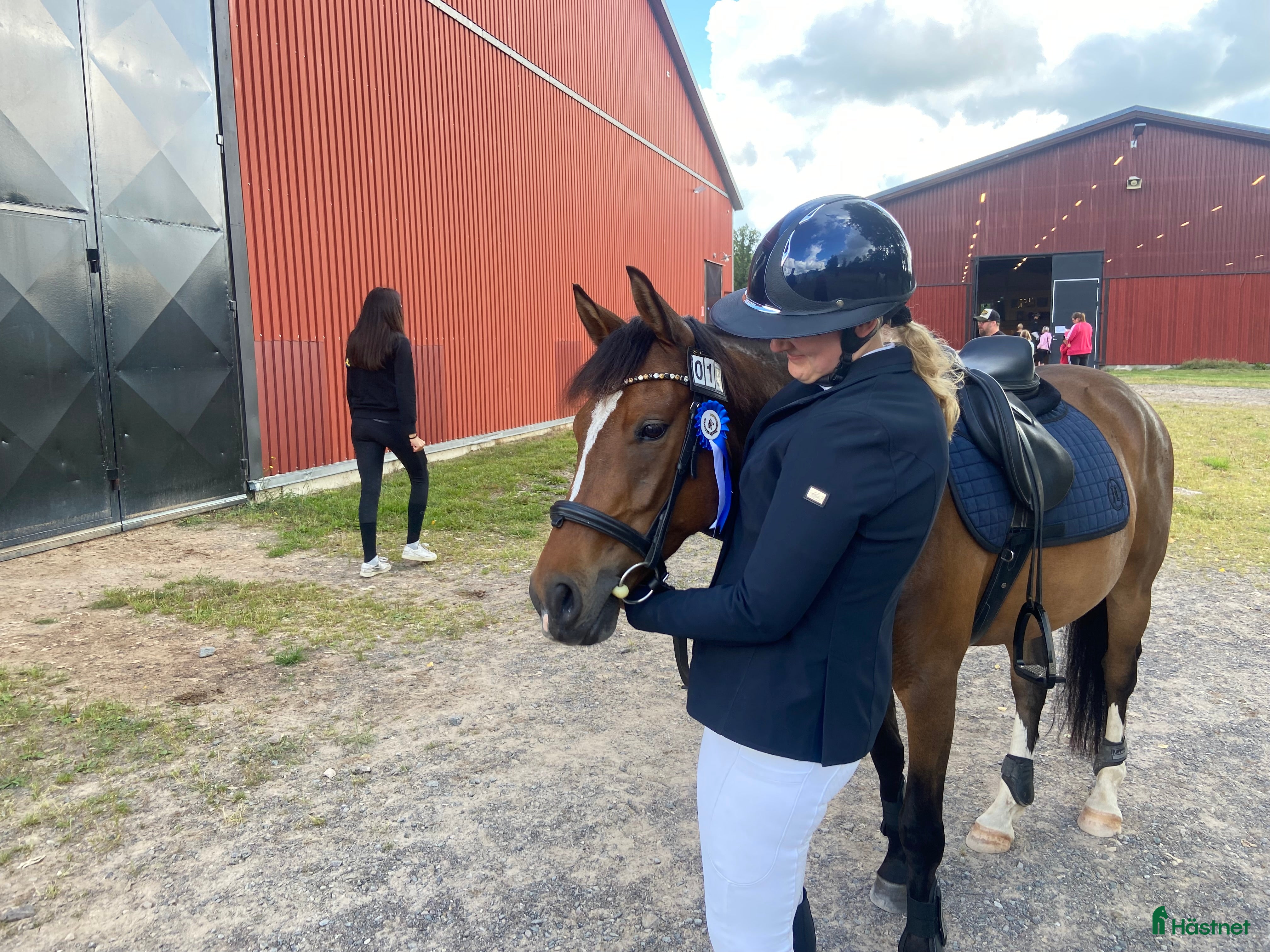  hästar Framtida Sjärna🌟 i Ljungbyholm - Annons 7