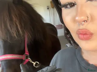 medryttarhäst sökes: Medryttarhäst SÖKES (Helsingborg) - Annons 16