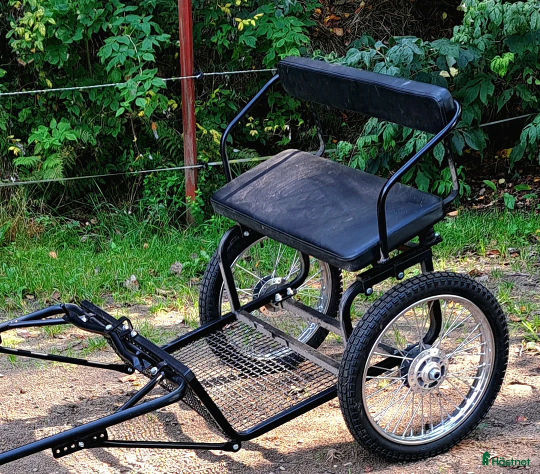 Körvagnar körning till salu: Väldigt fin Rockard! i Hultafors - Annons 1