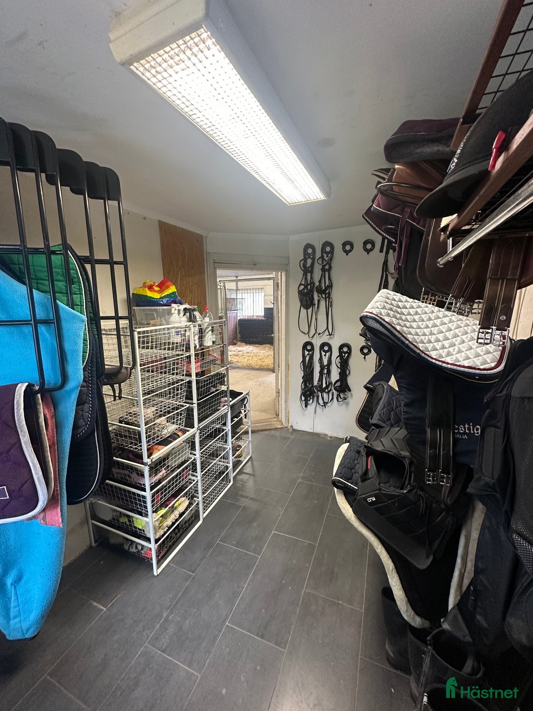  stallplats finnes: Stallplats nära stan finnes! i Härnösand - Annons 3