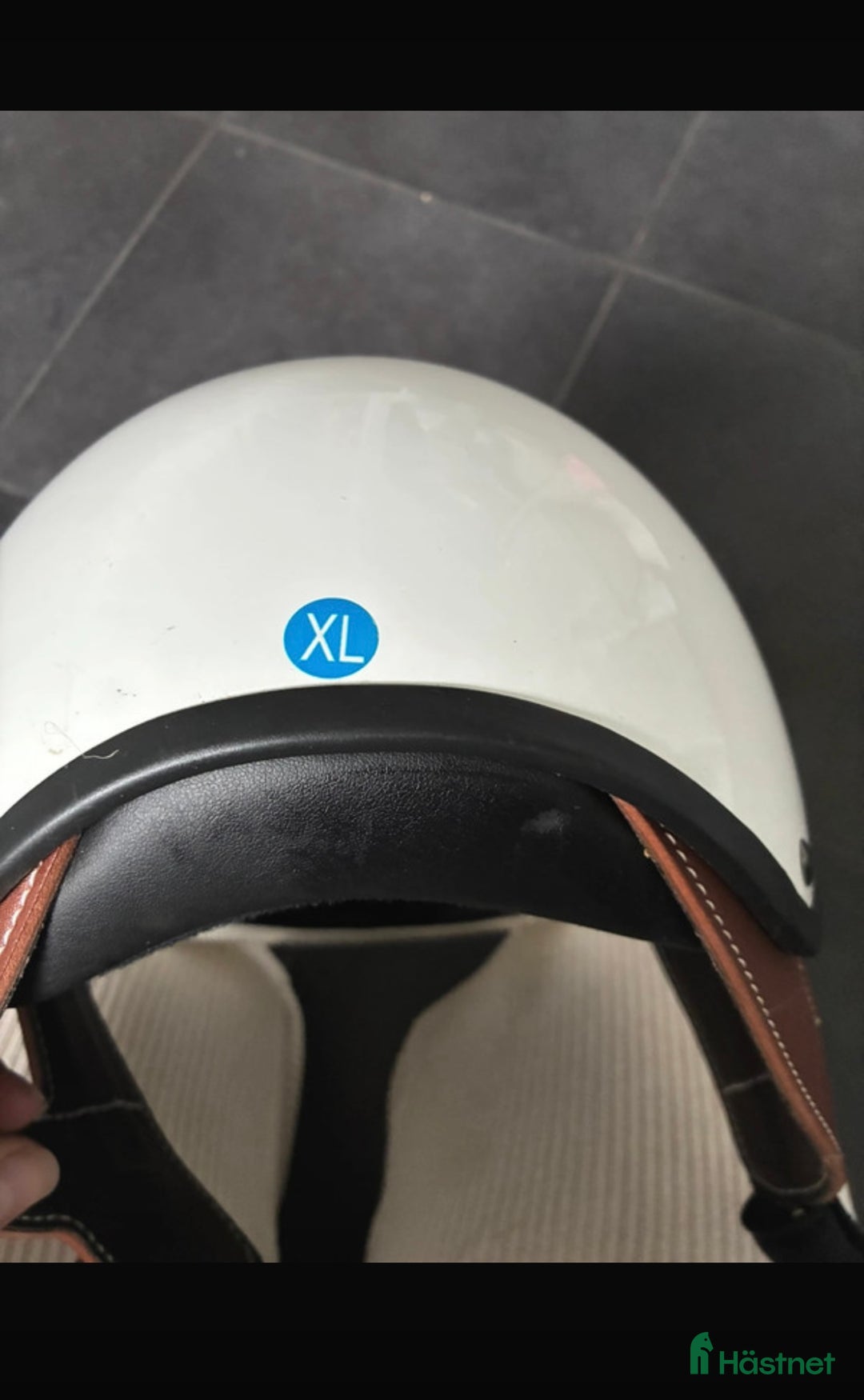 Övrig Travutrustning trav till salu: Travhjälm  i Mellerud - Annons 3