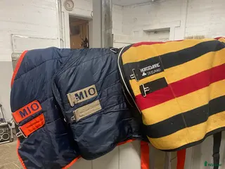 Täcken hästutrustning Horseware stalltäcken - Annons 2