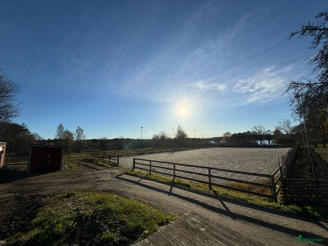  stallplats finnes: Lediga stallplatser i Ekerö - Annons 3