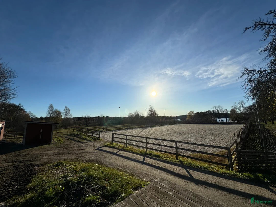  stallplats finnes: Lediga stallplatser i Ekerö - Annons 3