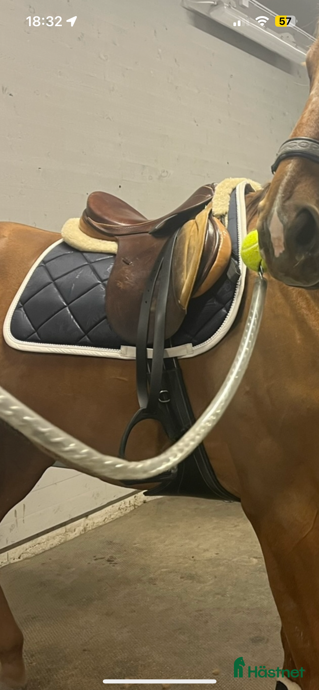 Sadlar hästutrustning till salu: Framskuren hoppsadel  i Södertälje - Annons 3