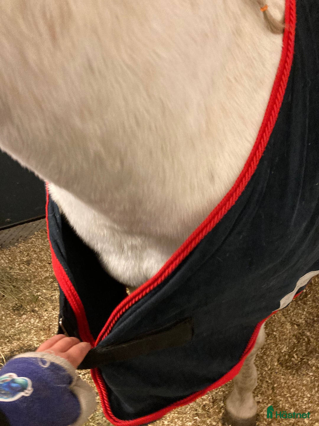 Täcken hästutrustning till salu: Blått fleece täcke  i Alnö - Annons 6