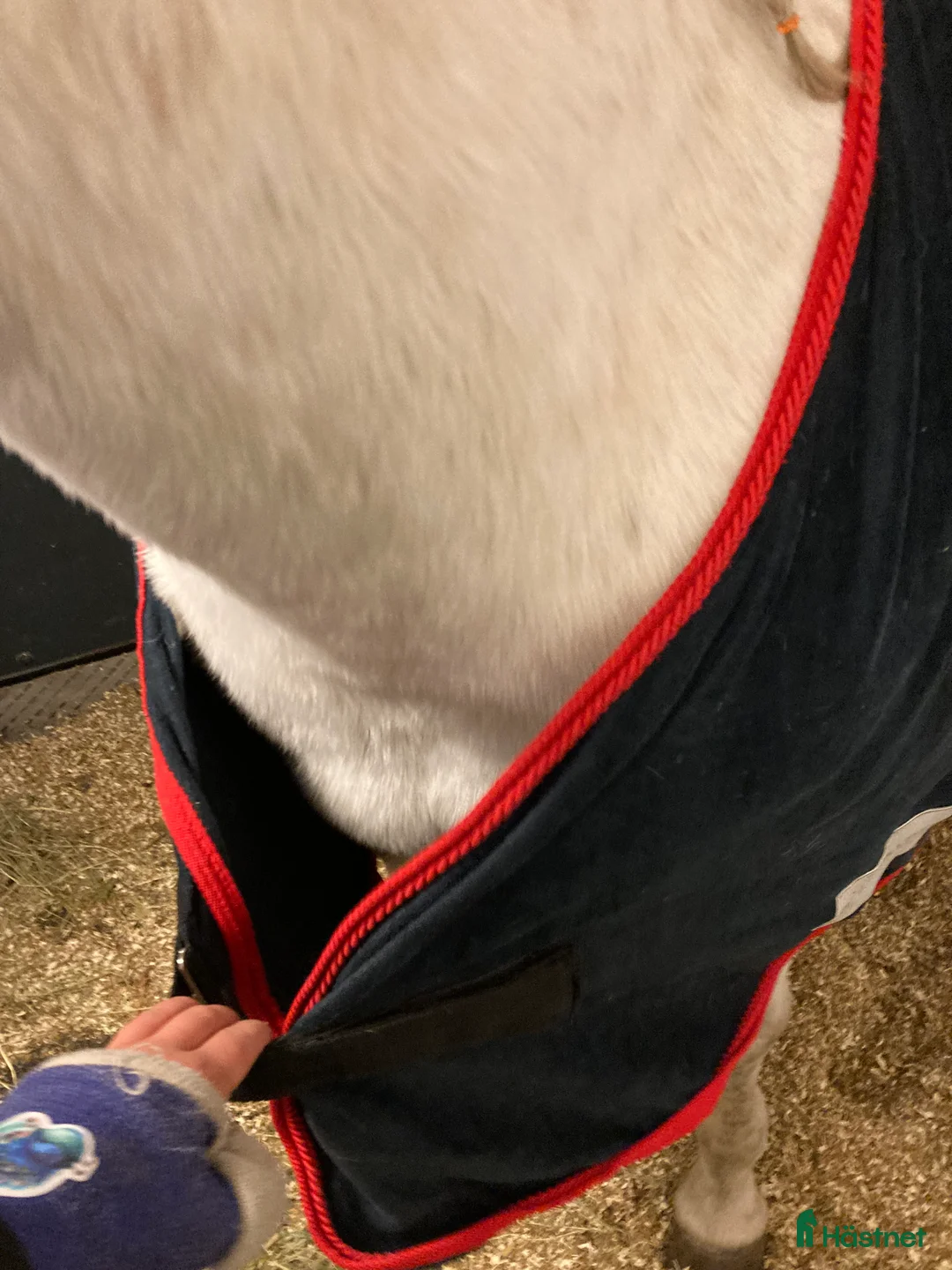Täcken hästutrustning till salu: Blått fleece täcke  i Alnö - Annons 6