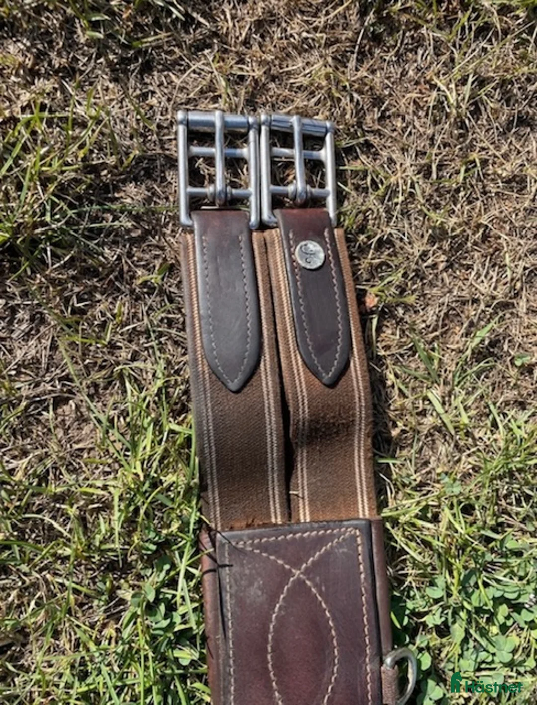 Sadeltillbehör hästutrustning till salu: Magplatta i Johannishus - Annons 2