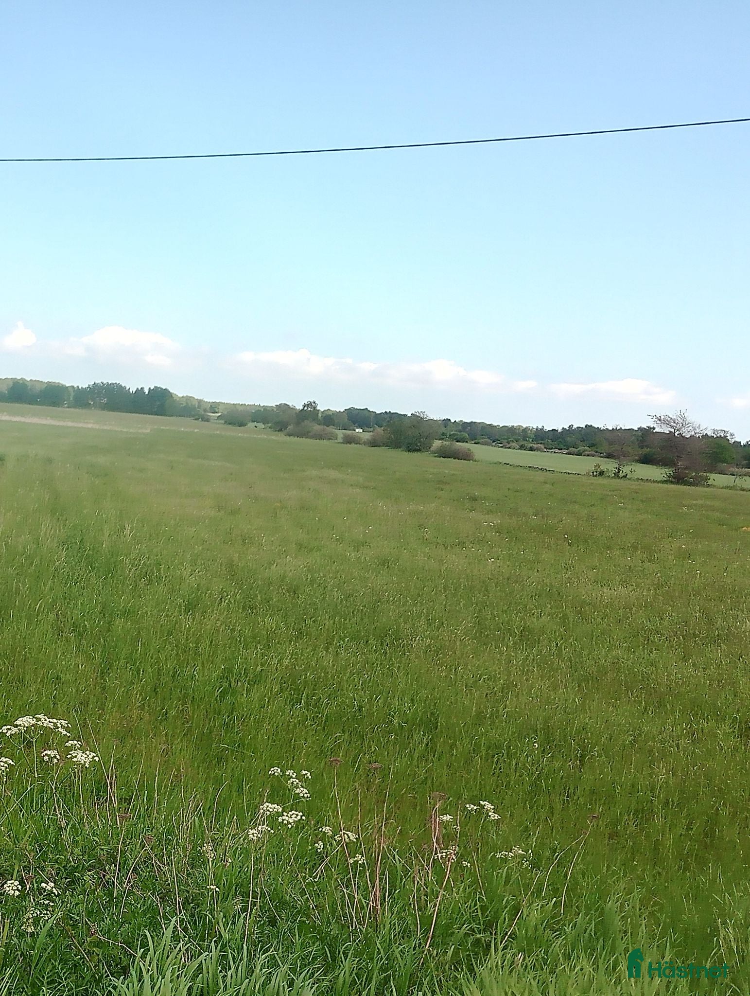  mark till salu: 14Ha Åker Betesmark& Skog 17km SV kristianstad - Annons 21