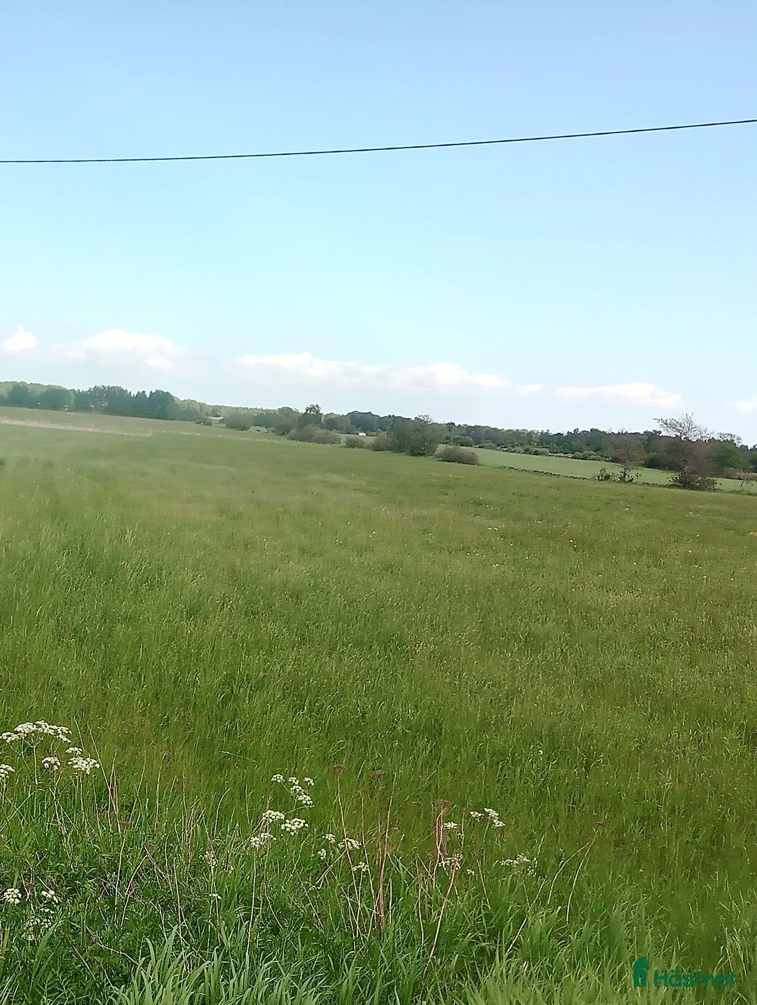  mark till salu: 14Ha Åker Betesmark& Skog 17km SV kristianstad i Kristianstad - Annons 1