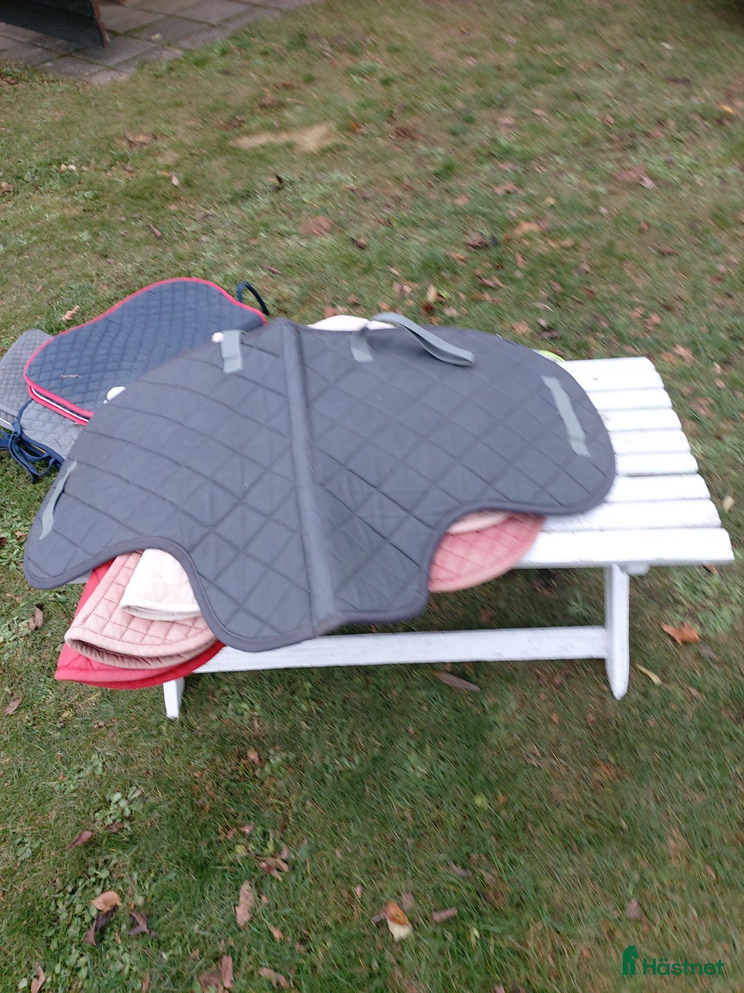 Schabrak & Vojlockar hästutrustning till salu: Chabrak o  vojlock i Visingsö - Annons 4