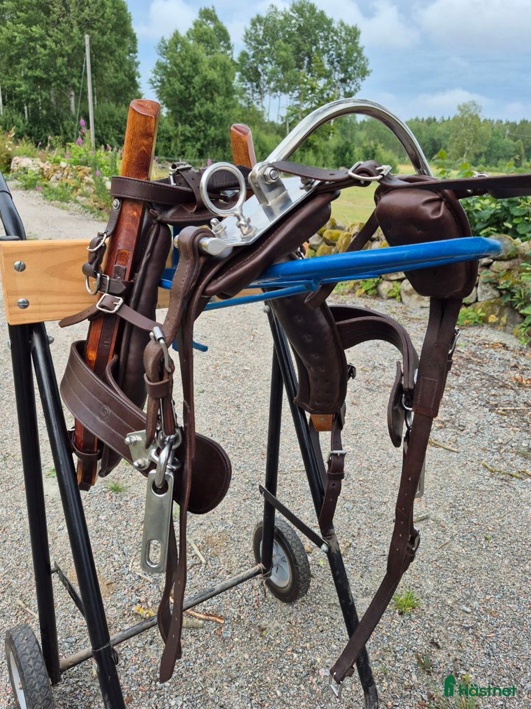 Körselar körning till salu: Exklusiv loksele i nyskick till shettis i Fågelmara - Bild 4