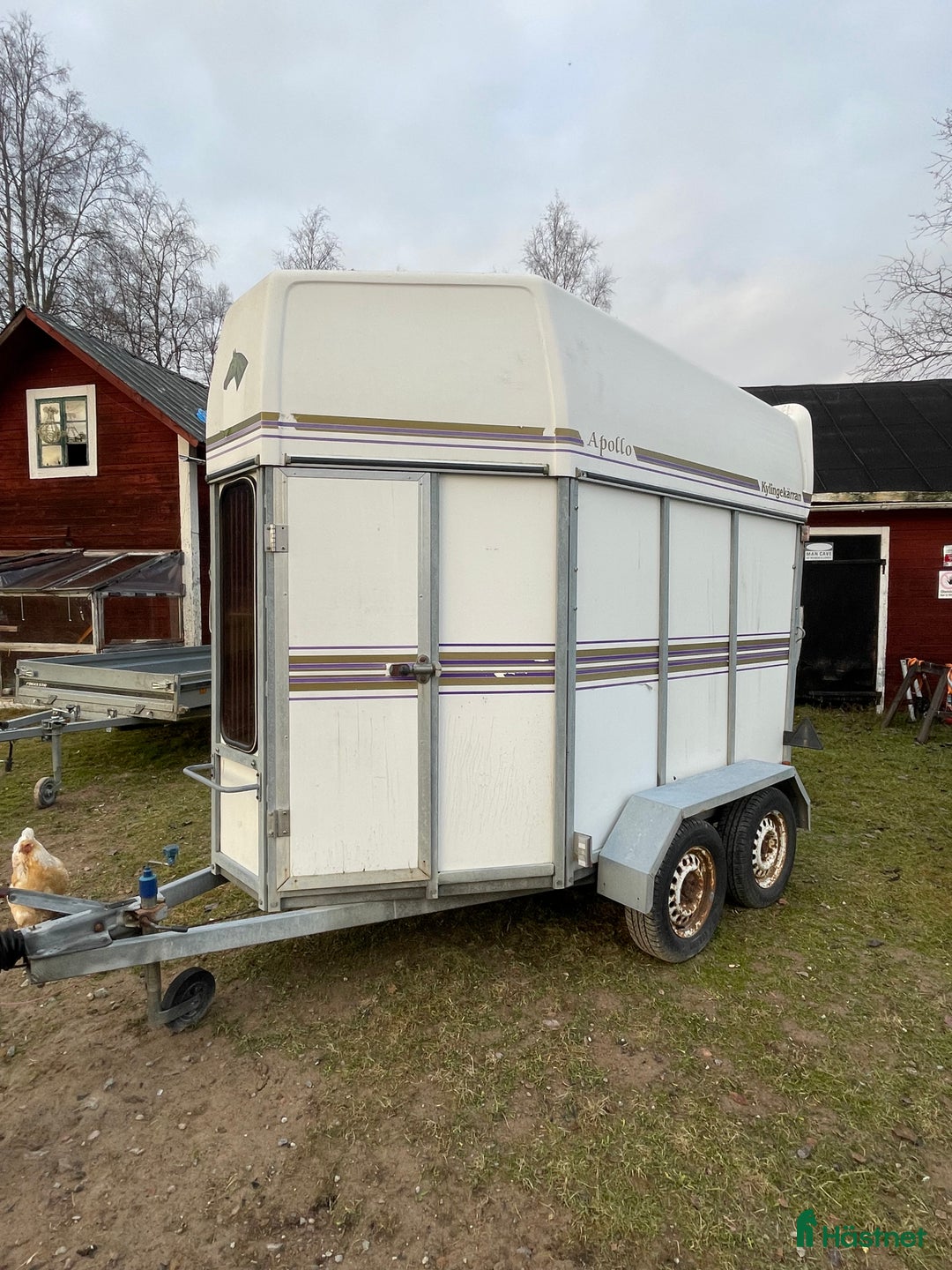 Hästtransporter  fordon & transport till salu: Fin Kyllinge Apollo i Saxdalen - Annons 2