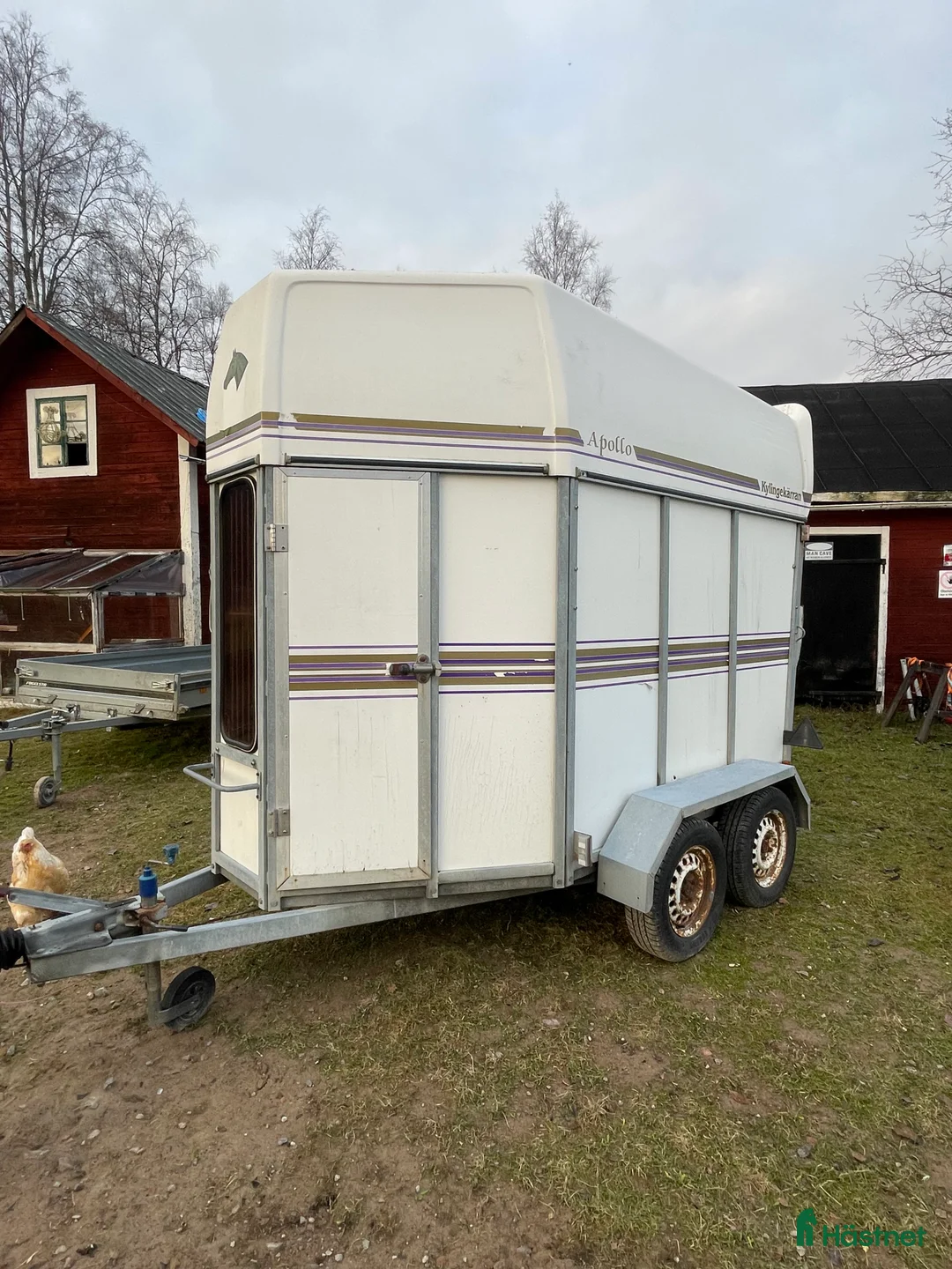 Hästtransporter  fordon & transport till salu: Fin Kyllinge Apollo i Saxdalen - Annons 2