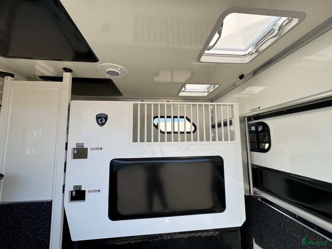 Hästlastbilar  fordon & transport till salu: PARAGAN EXCELSION 5XL STUTERI  i Köping - Annons 7