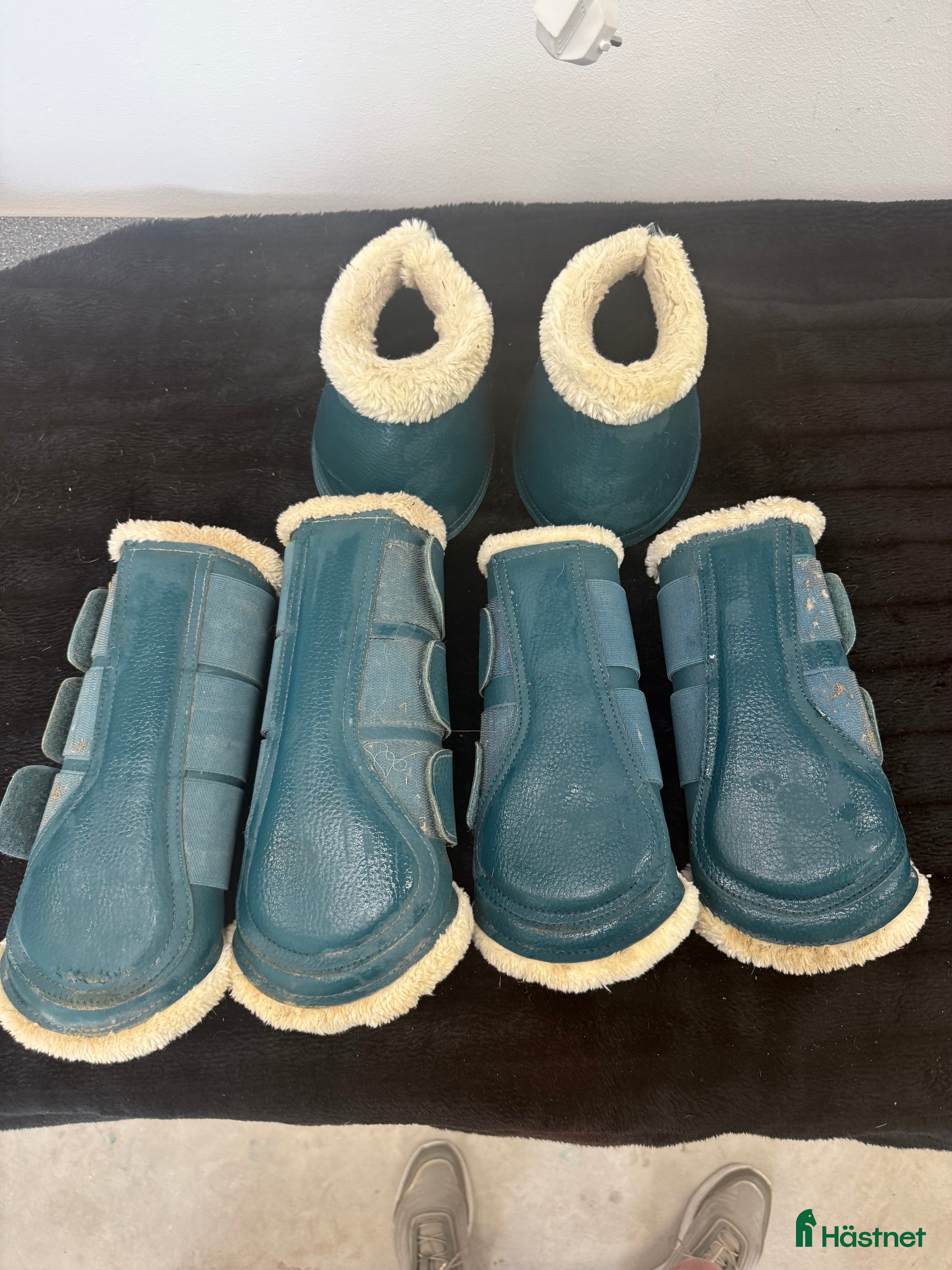 Benskydd hästutrustning till salu: Ps of sweden  i Västerås - Annons 18