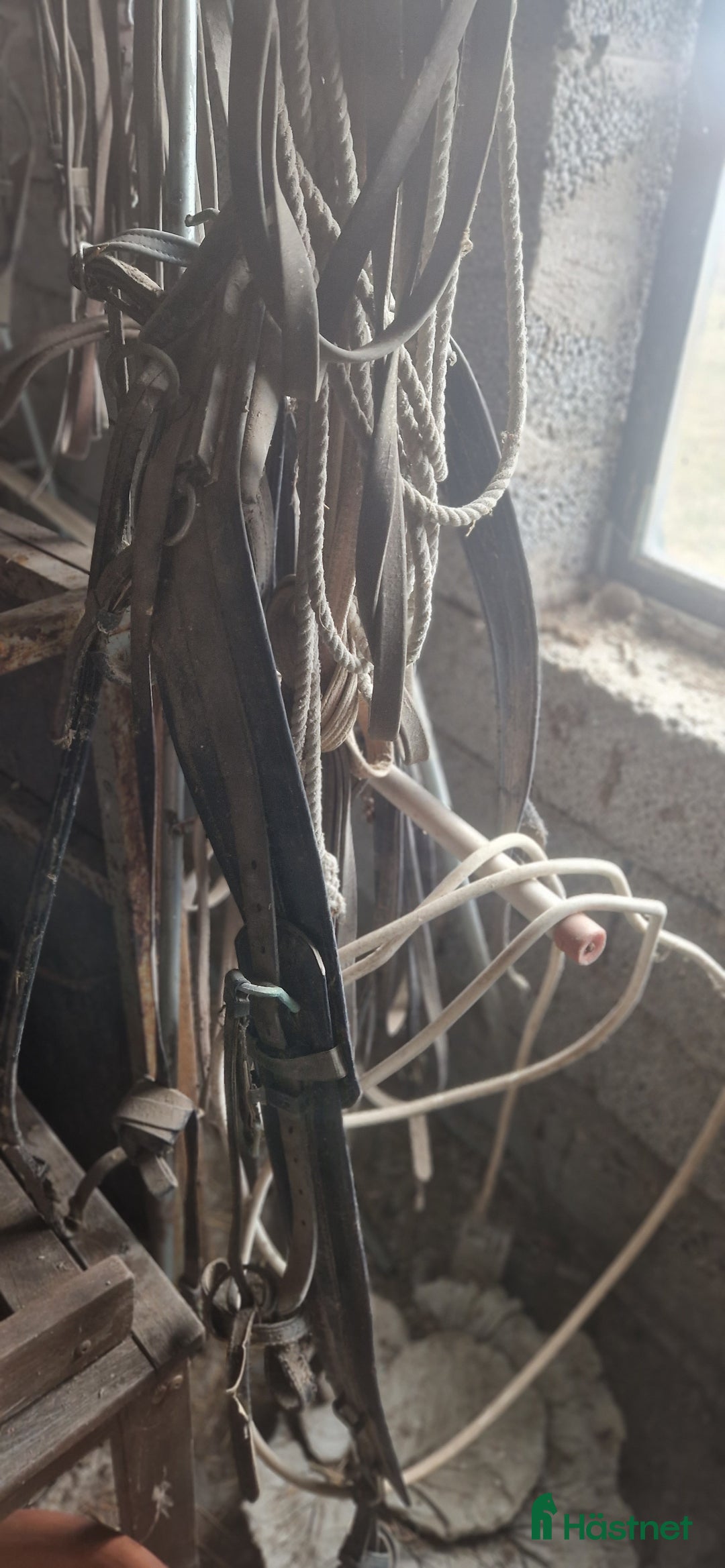 Sadlar hästutrustning till salu: Sadlar,rockard,speedcar,selar mm - Annons 2