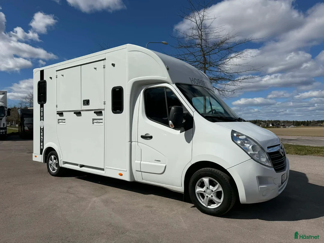 Hästlastbilar  fordon & transport till salu: NUYTS med 5 säten – en perfekt första hästlastbil! - Annons 1