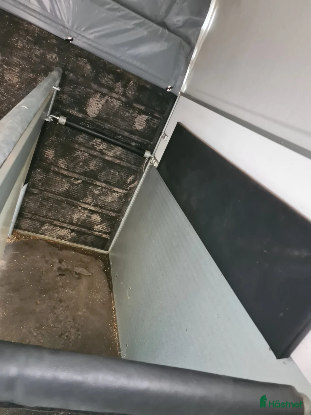 Hästtransporter  fordon & transport till salu: Mycket fin transport  i Falköping - Annons 4