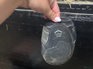 Benskydd hästutrustning till salu: Svarta Veredus bakskydd i Värnamo - Annons 20