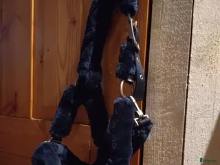 Övrig Hästutrustning hästutrustning Blå fluffgrimma - Annons 2