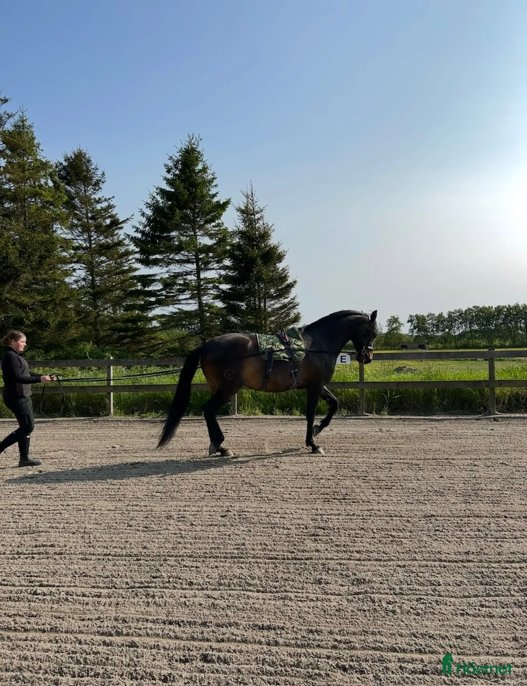  stallplats finnes: Stallplats i Onsala  i Onsala - Annons 11