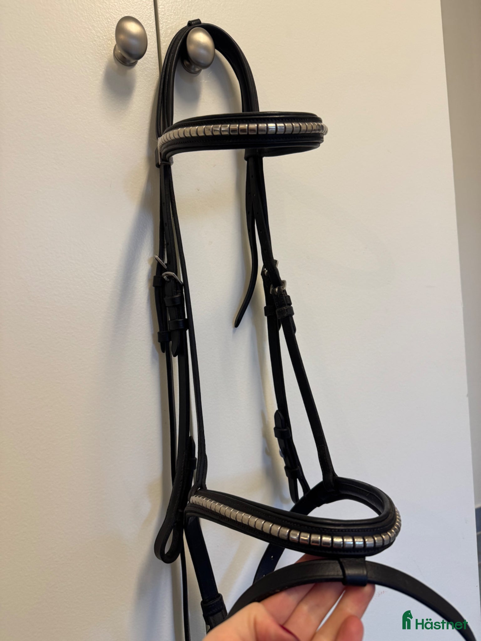 Träns hästutrustning Equipe träns  - Annons 1