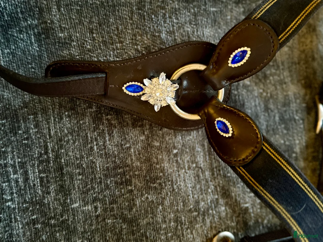 Sadeltillbehör hästutrustning till salu: Blingad brösta i Rånäs - Annons 2