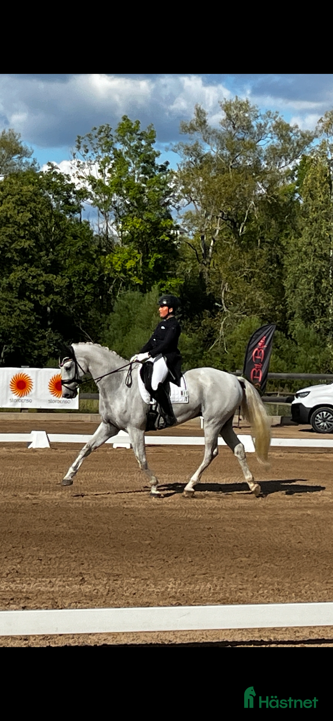 Dressyr hästar till salu: Läromästare dressyr  i Kågeröd - Annons 3