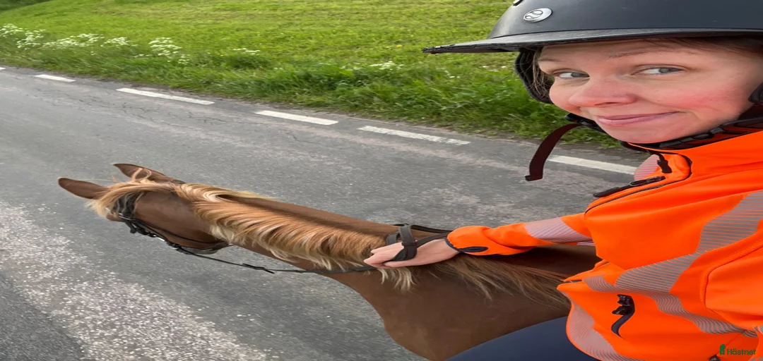 Galleribild {{count}}