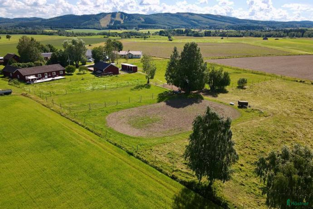  stallplats finnes: stallplats finnes i Borlänge - Annons 3