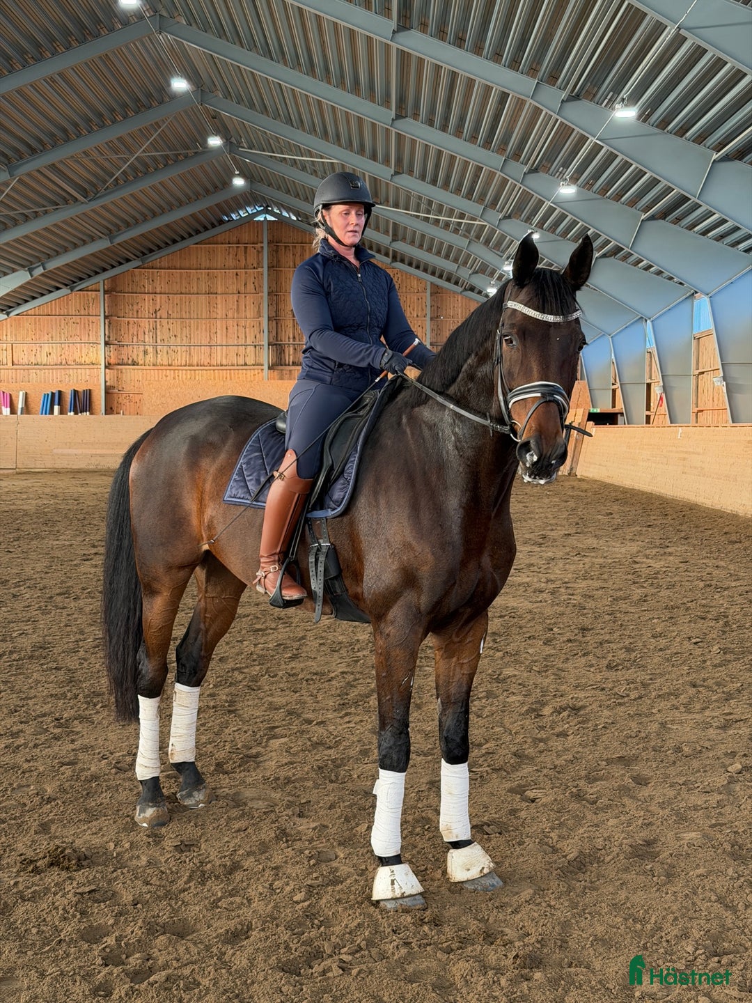 Dressyr hästar till salu: Snygg Dressyrhäst  i Märsta - Annons 1