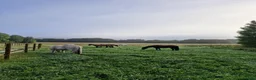  stallplats finnes: Stallplats i Österhaninge  - Annons 3