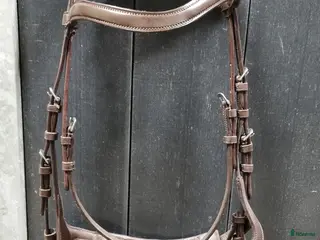 Träns hästutrustning till salu: Lippo Träns - Annons 4