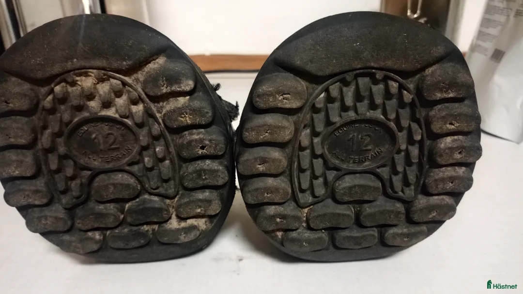 Övrig utrustning övrig utrustning till salu: Hovboots Equine fusion 12 R - Annons 2