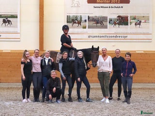 hästservice finnes: Ride and Dine kurs på Sanna Nilsson Dressyrcenter i Stora Sundby - Annons 2