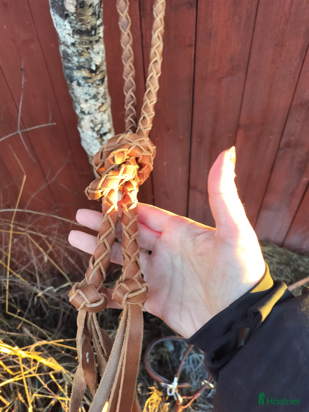 Träns hästutrustning till salu: Edix sidepull rose i cognac i Luleå - Annons 4