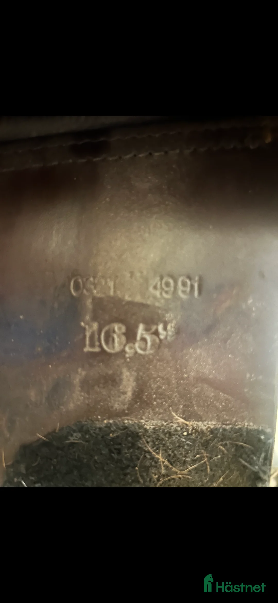 Sadlar hästutrustning till salu: Santa Cruze Celine  - Annons 9