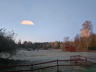 hästar Söker leksugen kompis i Rydaholm - Annons 4