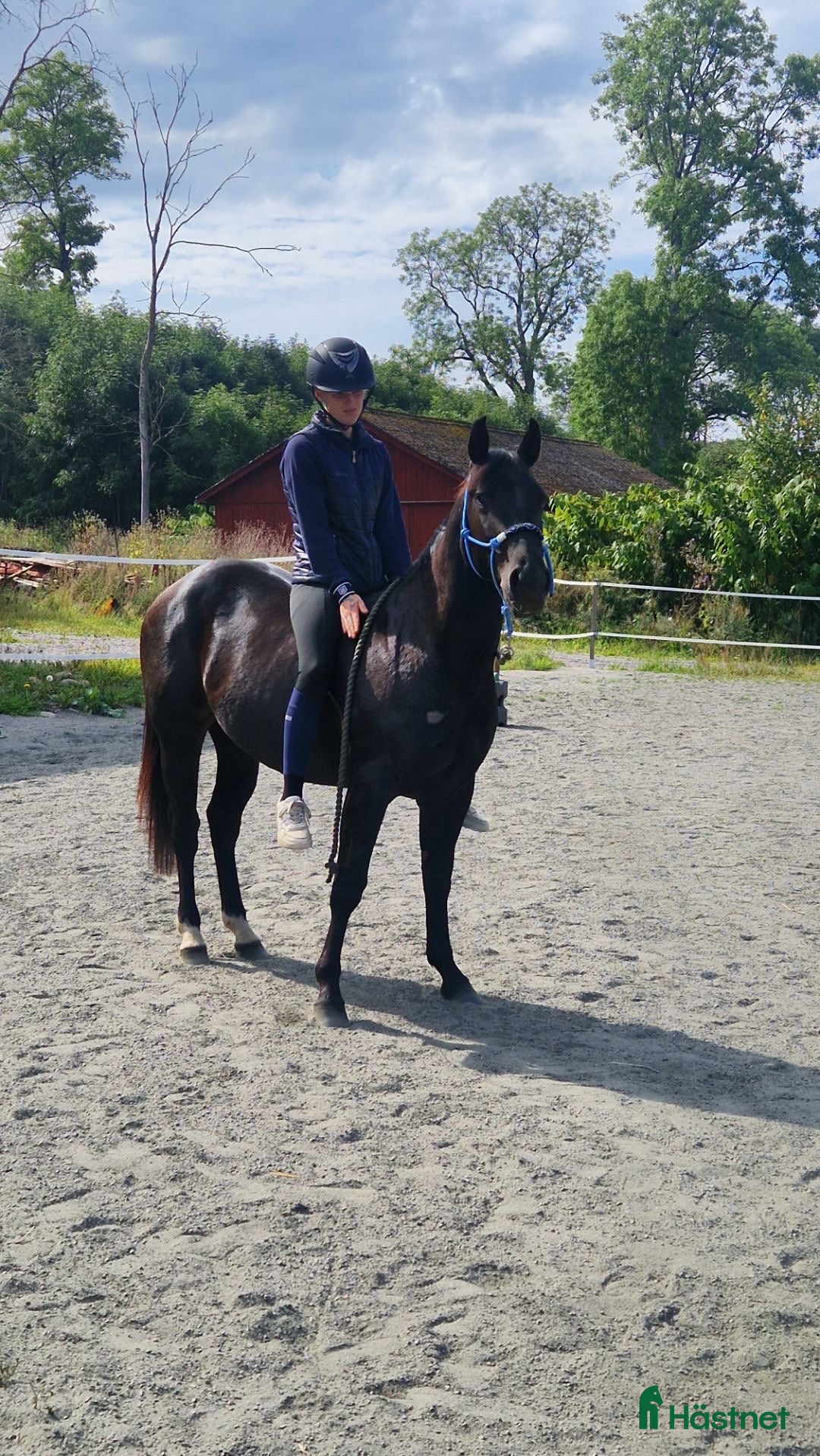  hästar Ett charmtroll som drar blickar till sig! - Annons 10