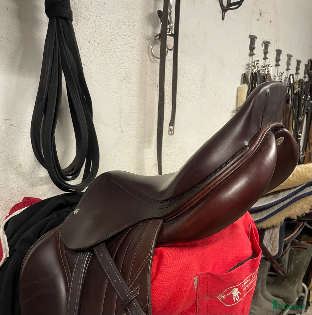 Sadlar hästutrustning till salu: Byt eller köp denna fantastiska sadel🙏🏻 i Trelleborg - Annons 4
