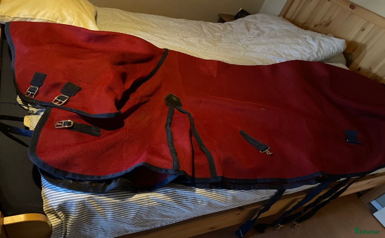 Täcken hästutrustning till salu: Svettäcke med hals i Gävle - Annons 14