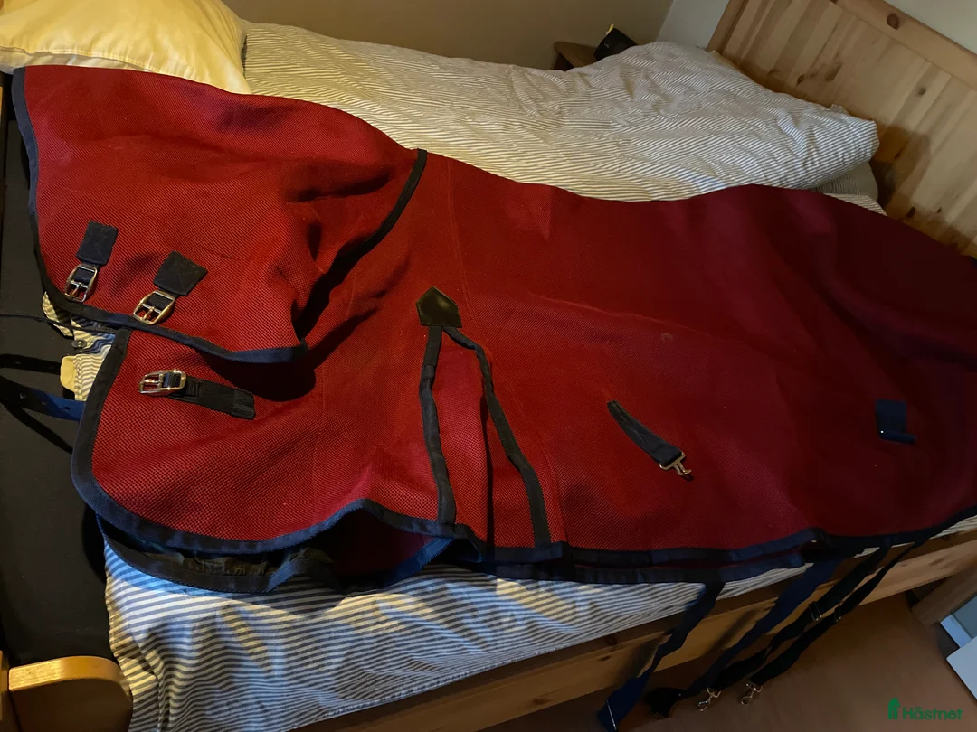 Täcken hästutrustning till salu: Svettäcke med hals i Gävle - Annons 1