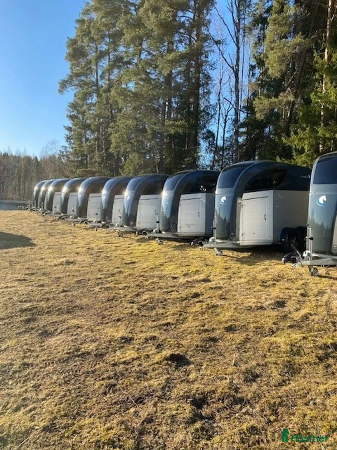 Hästtransporter  fordon & transport till salu: Clear round  i Kinnarumma - Annons 2