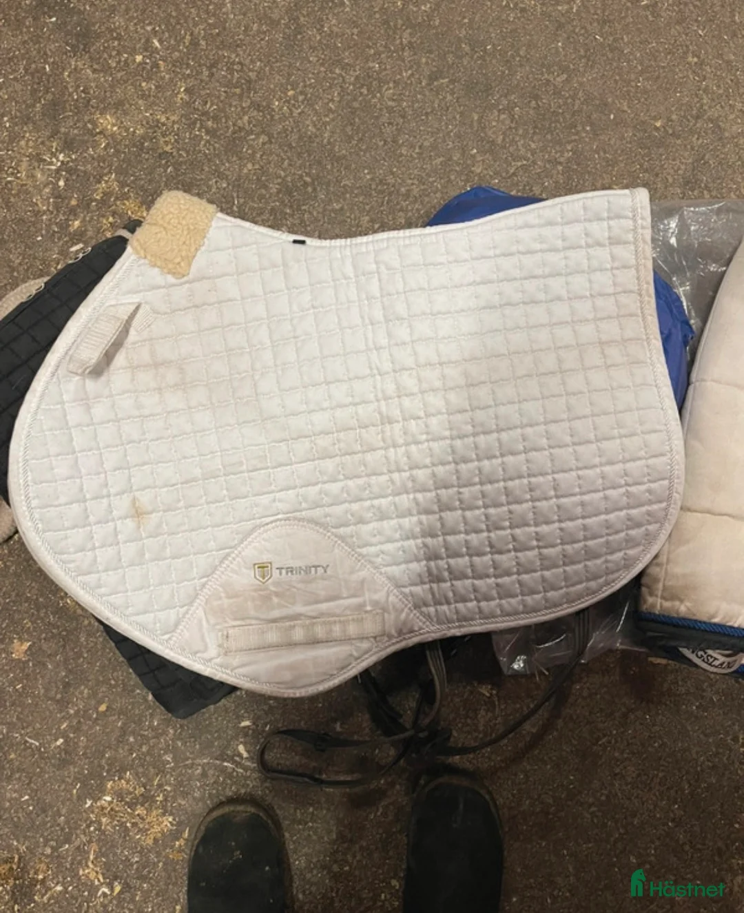 Schabrak & Vojlockar hästutrustning till salu: Schabrak, huva, lindor, tävlingstopp!  i Kalmar - Annons 5